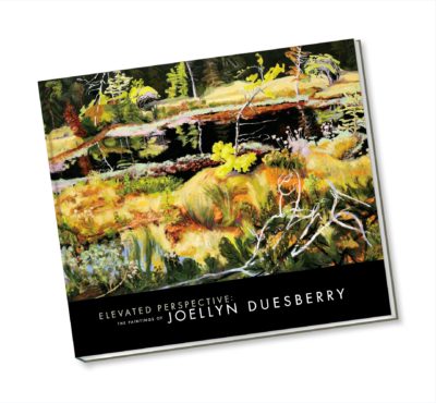Elevated Perspective the paintings of Joellyn Duesberry