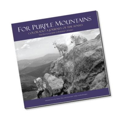 For Purple Mountains Colorado a journey of the senses