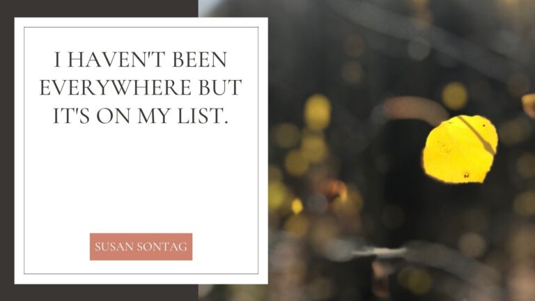 Sontag travel quote